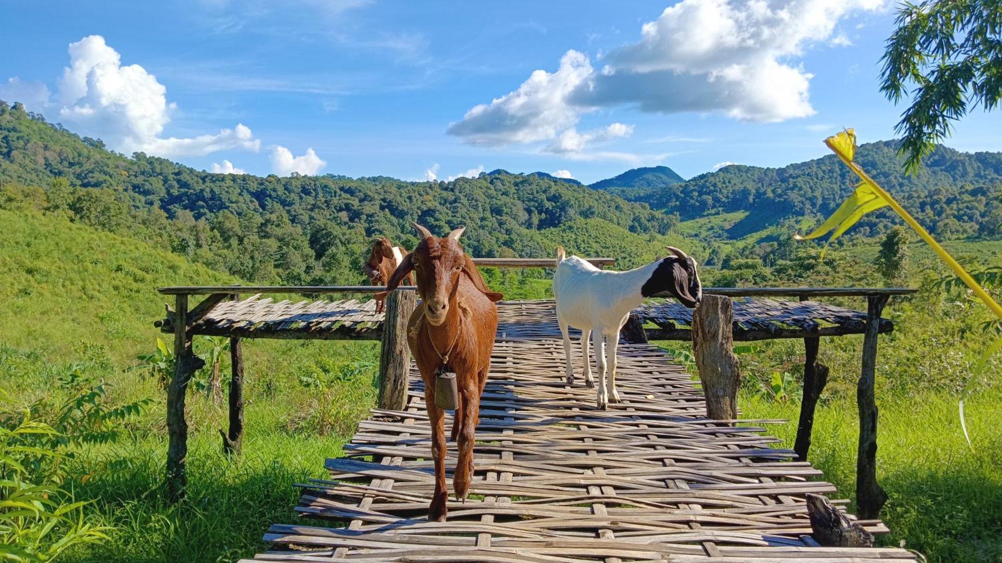 ไร่นิธิสุนทร Nithisoonthon Farmstay メーホンソン エクステリア 写真