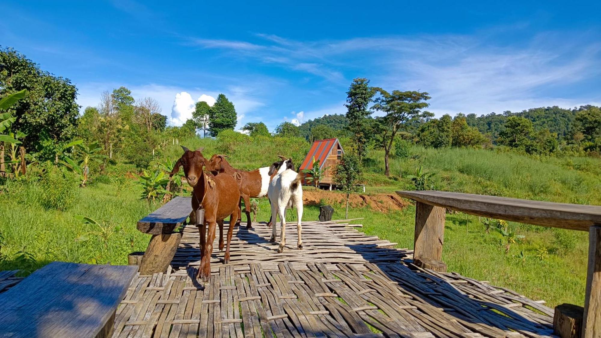 ไร่นิธิสุนทร Nithisoonthon Farmstay メーホンソン エクステリア 写真