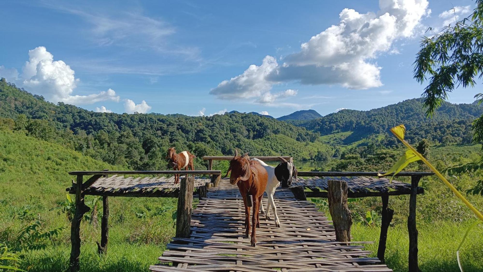 ไร่นิธิสุนทร Nithisoonthon Farmstay メーホンソン エクステリア 写真