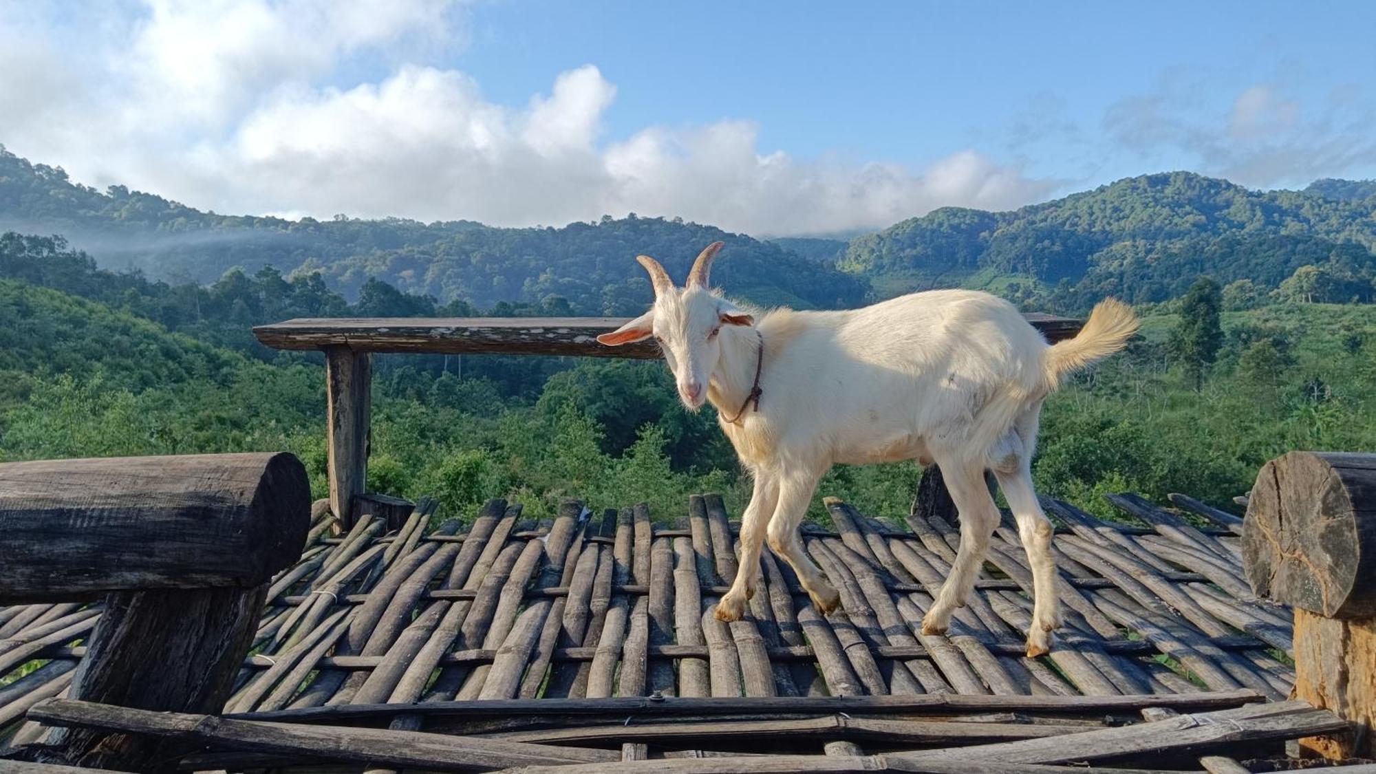 ไร่นิธิสุนทร Nithisoonthon Farmstay メーホンソン エクステリア 写真