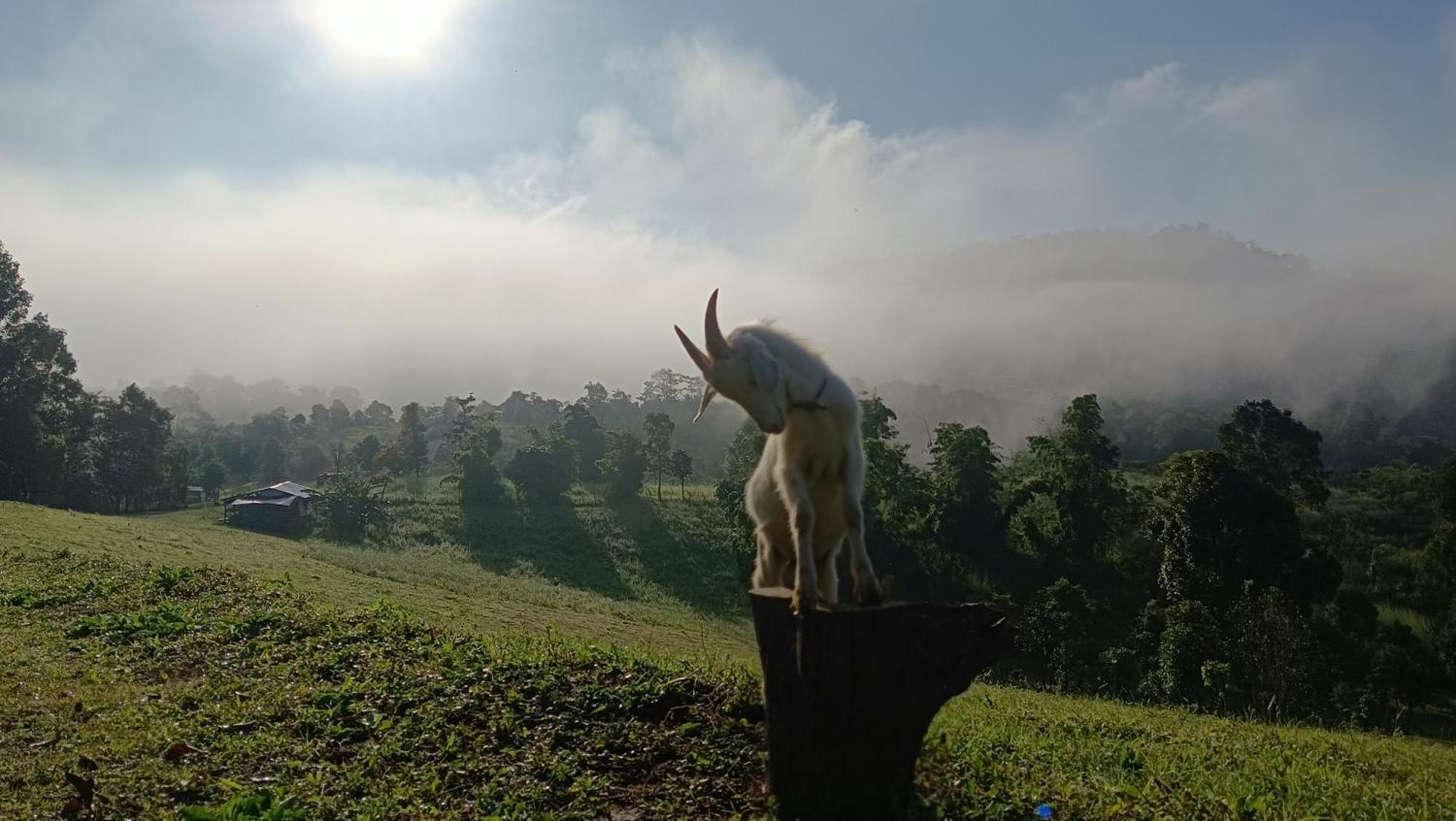 ไร่นิธิสุนทร Nithisoonthon Farmstay メーホンソン エクステリア 写真