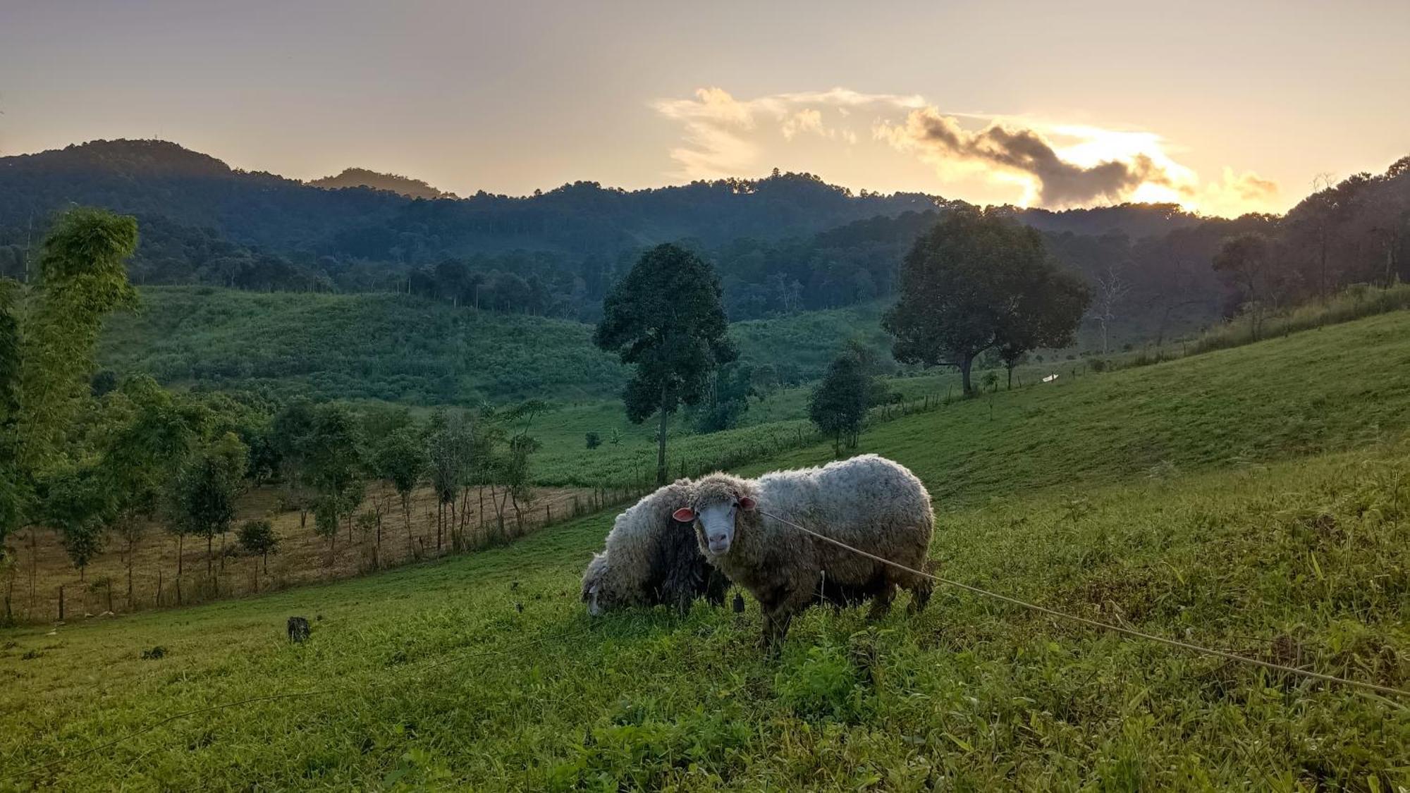 ไร่นิธิสุนทร Nithisoonthon Farmstay メーホンソン エクステリア 写真