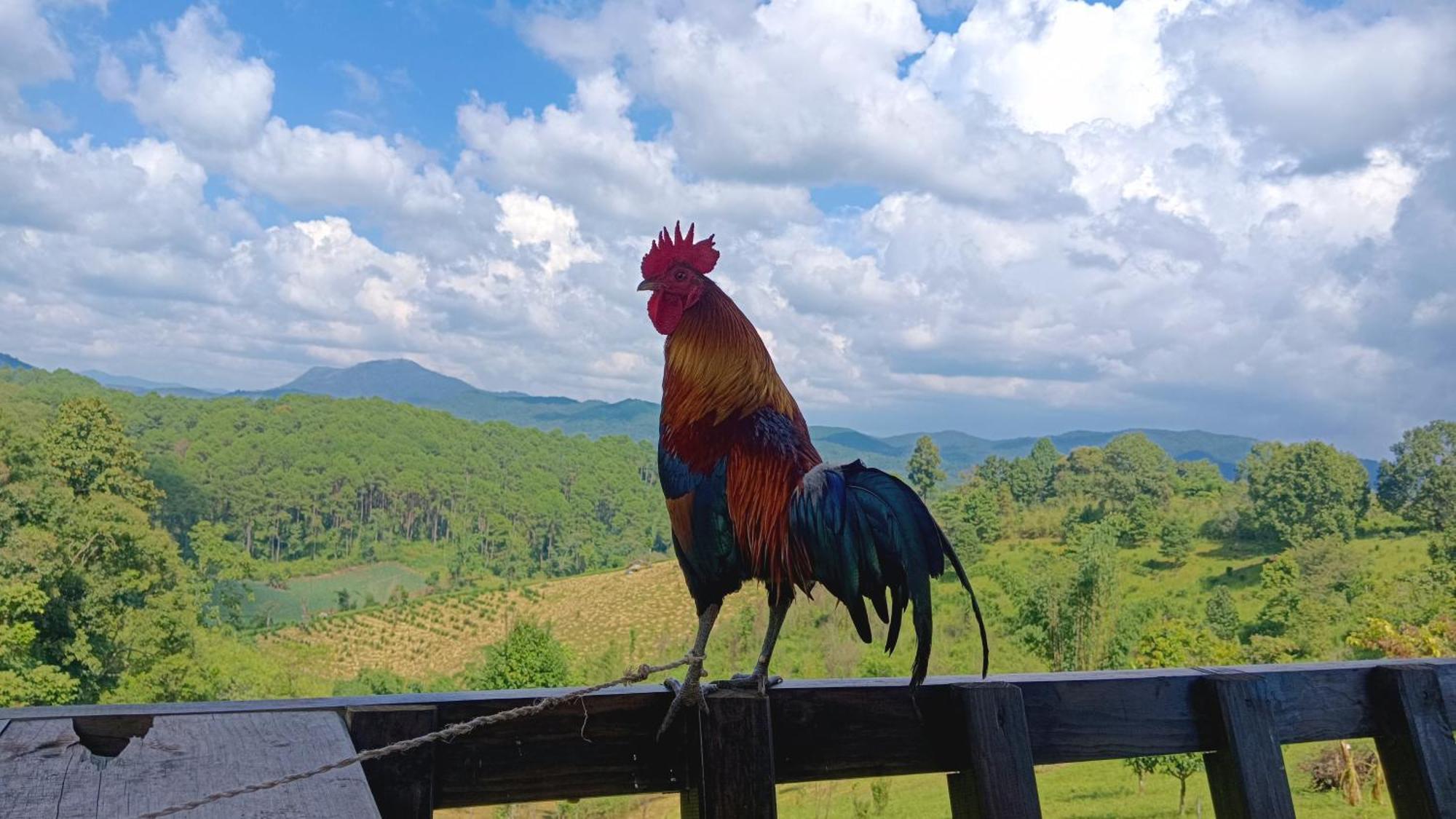 ไร่นิธิสุนทร Nithisoonthon Farmstay メーホンソン エクステリア 写真