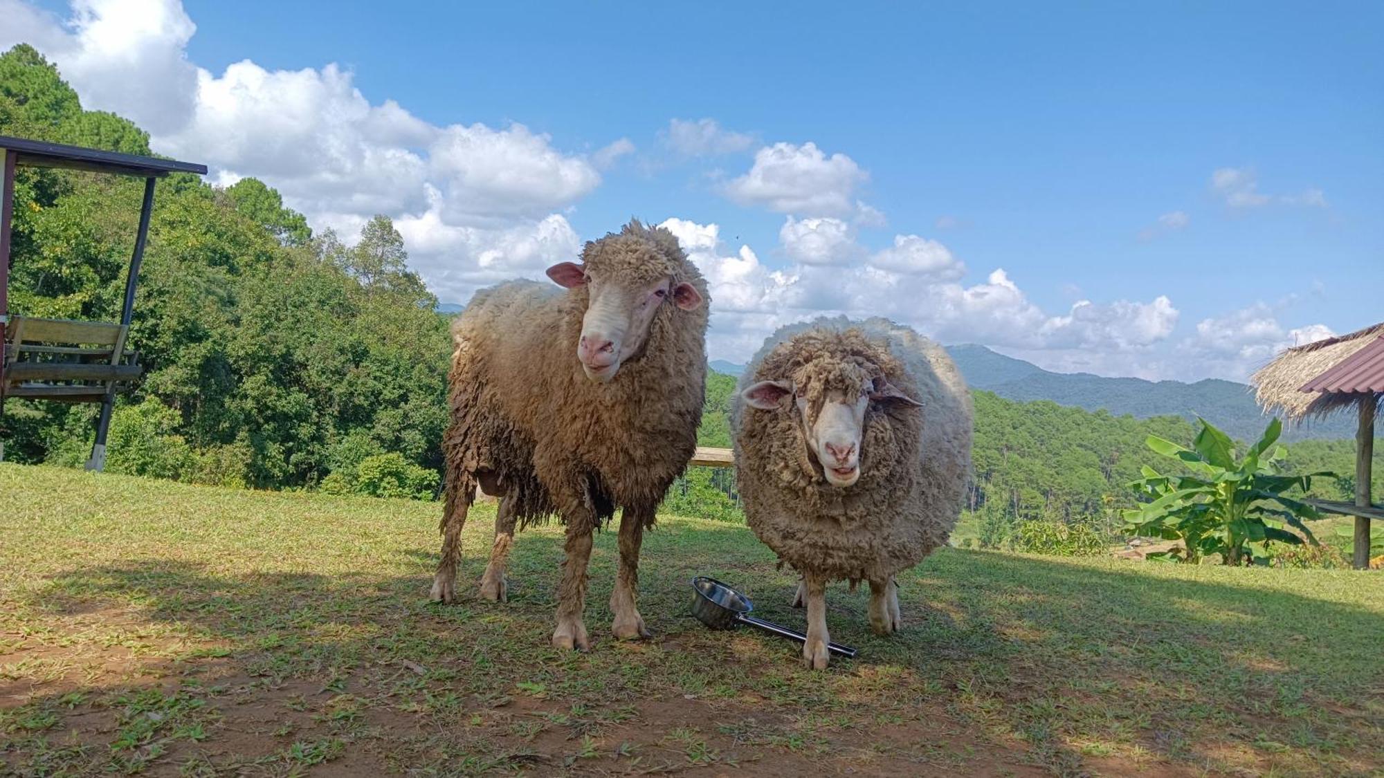 ไร่นิธิสุนทร Nithisoonthon Farmstay メーホンソン エクステリア 写真